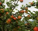 DSC07298.JPG